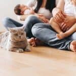 Katze in einer Familie (depositphotos.com)