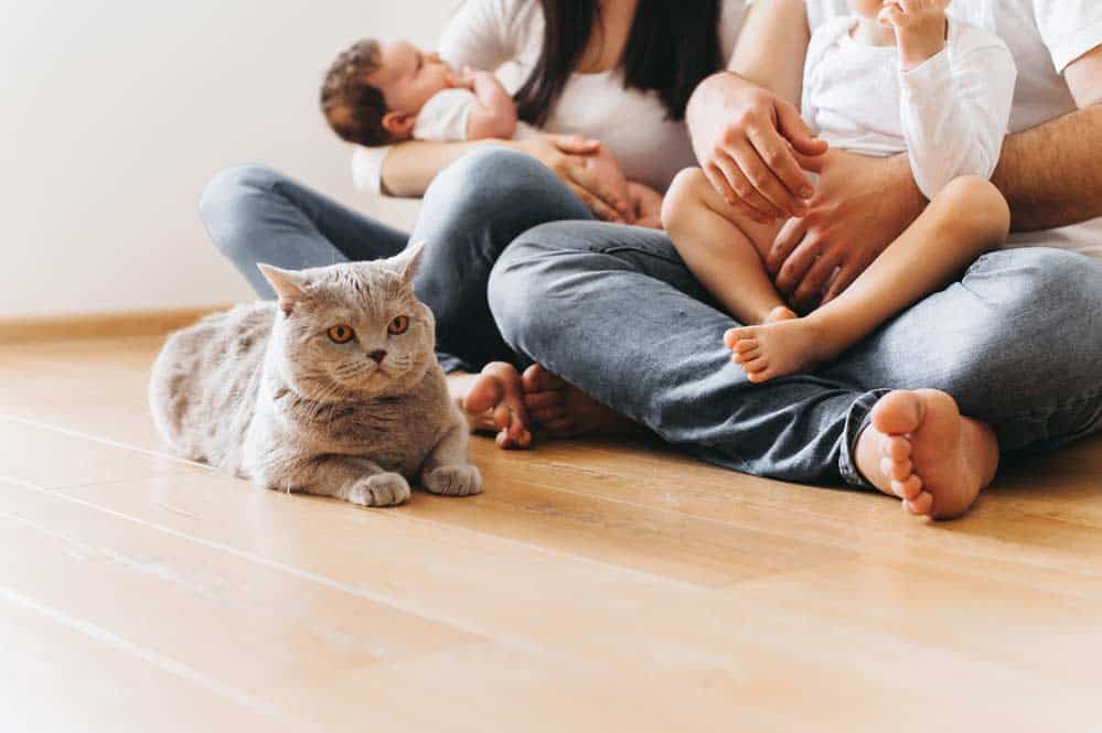 Katze in einer Familie (depositphotos.com)