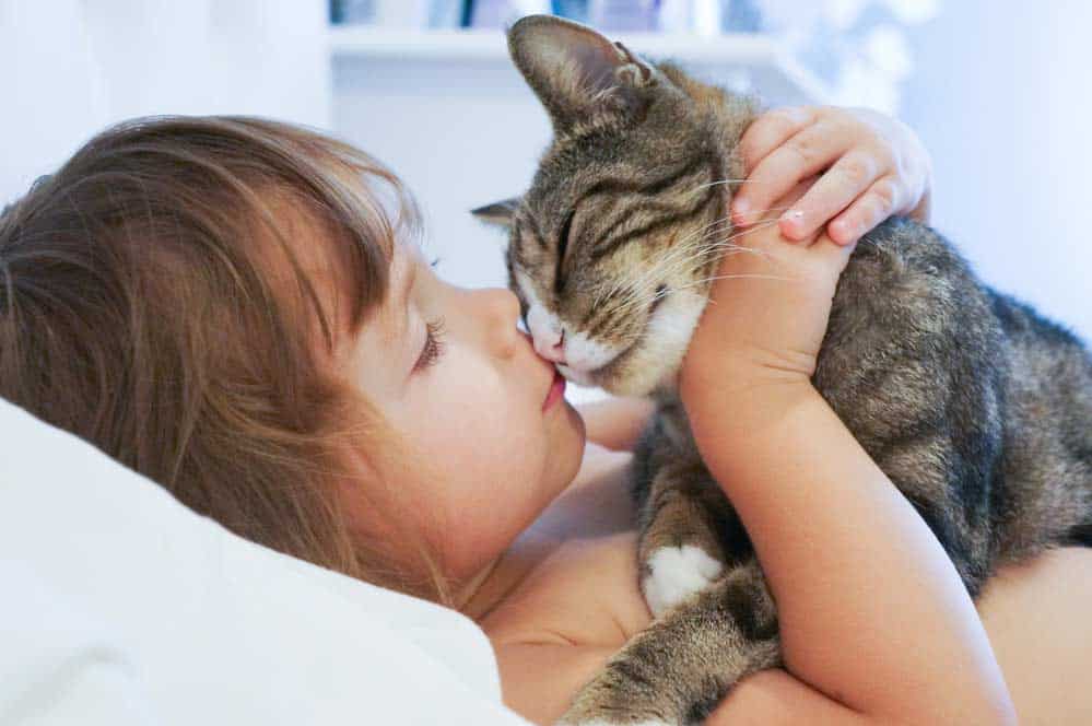 Katze schmust mit Kind (depositphotos.com)