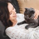 Katze streicheln (depositphotos.com)