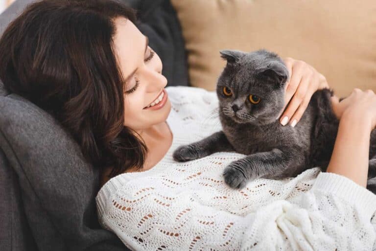 Katze streicheln (depositphotos.com)
