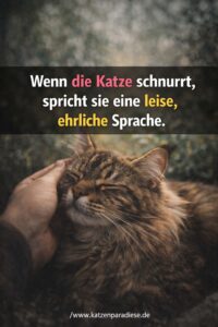 Wenn die Katze schnurrt, spricht sie eine leise, ehrliche Sprache.