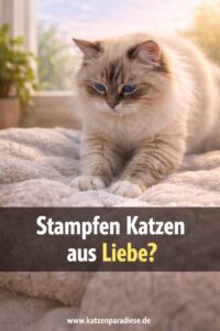 Stampfen Katzen aus Liebe?