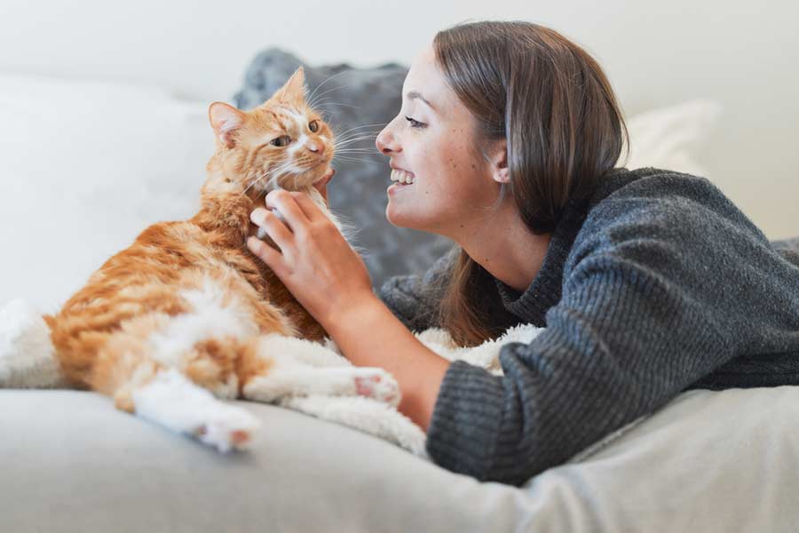 Besitzerin spielt mit geliebter Katze (depositphotos.com)