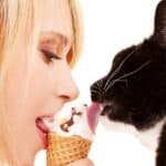 Dürfen Katzen Eis essen? (depositphotos.com)