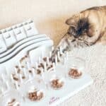 Katzen Futterspielzeug (depositphotos.com)