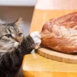 Katze möchte Schweinefleisch vom Tisch stibitzen (depositphotos.com)