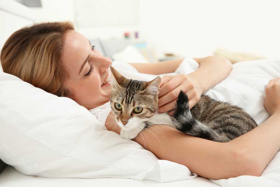 Katze mit Frau im Bett kuscheln (depositphotos.com)