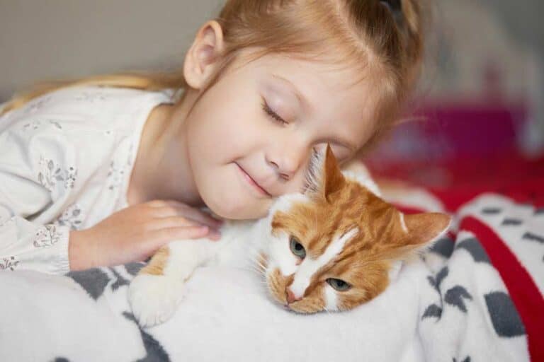 Katze schmust mit Kind (depositphotos.com)
