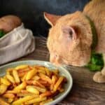 Dürfen Katzen Pommes essen? (depositphotos.com)