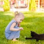 Kind auf der Wiese mit Katze (depositphotos.com)