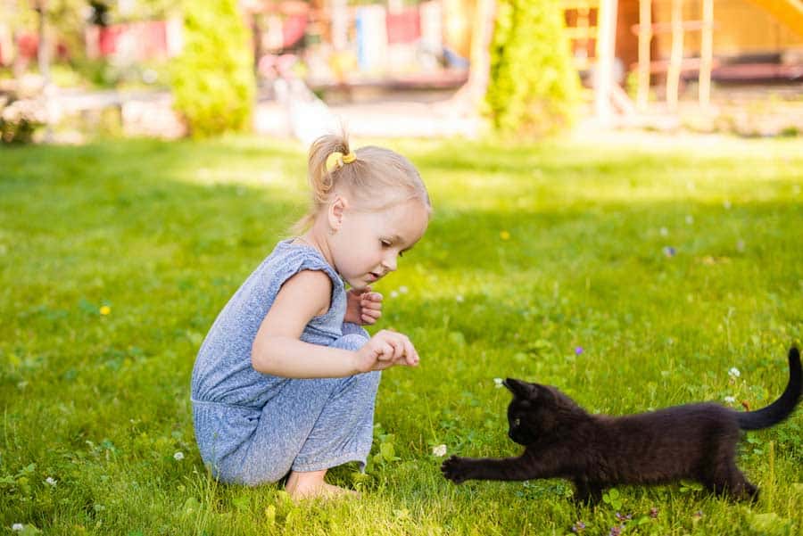 Kind auf der Wiese mit Katze (depositphotos.com)