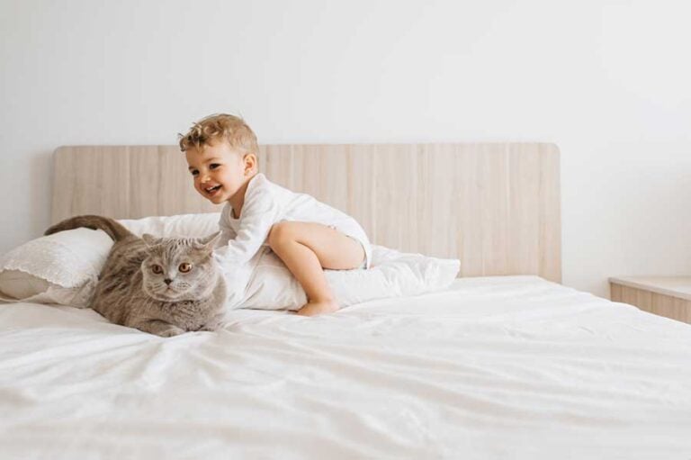 Kind und Katze im Bett (depositphotos.com)