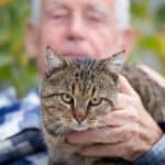 Senior mit Katze (depositphotos.com)