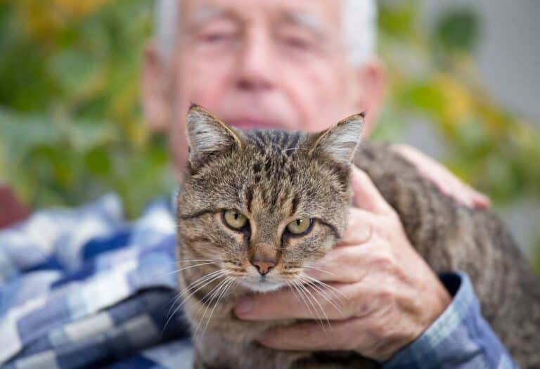 Senior mit Katze (depositphotos.com)
